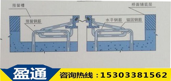 E型立面圖.jpg